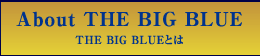 THE BIG BLUEとは